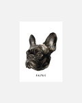 The Ralphie Portrait